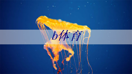 篮球场上的主角：与篮球架大梁相互连接，完成完美的进攻！