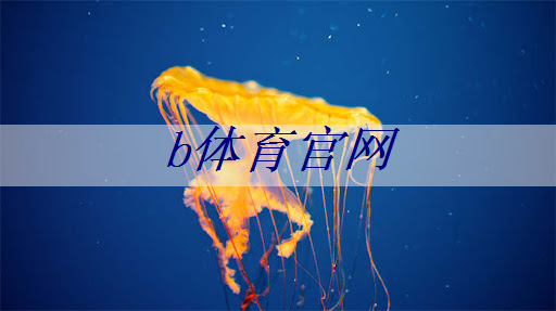 无桌子乒乓球台怎么办啊.txt 无桌子乒乓球台怎么办啊.txt